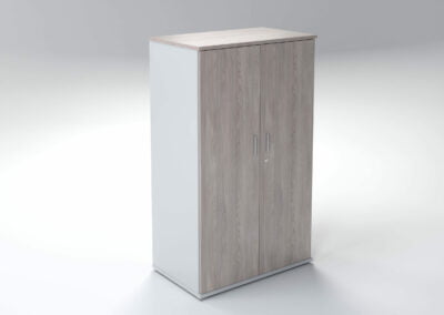 2 Door Storage Cabinet