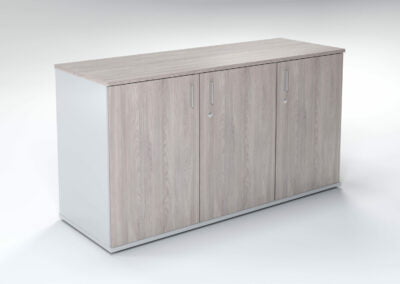 3 Door Server Cabinet
